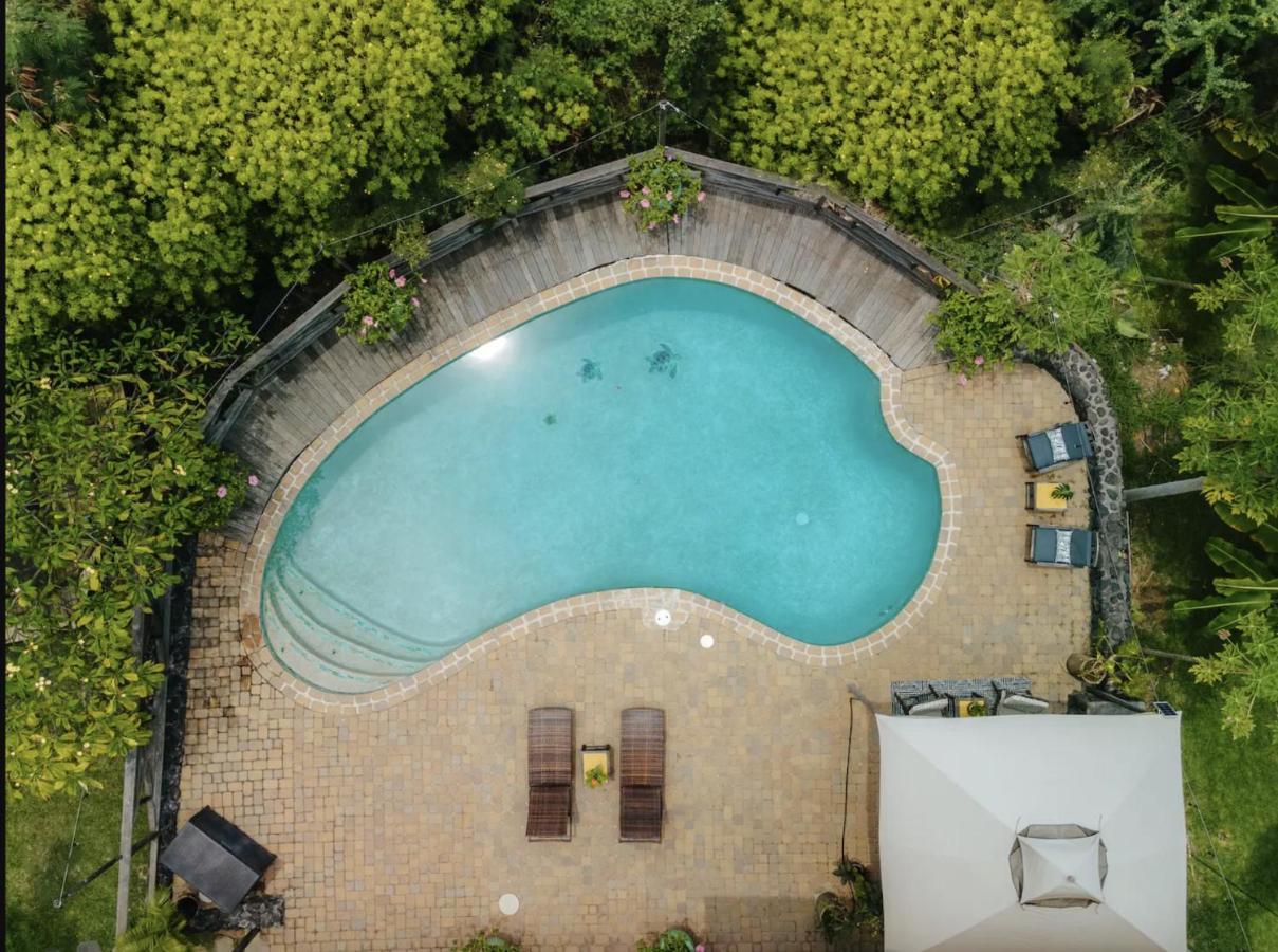 Apartamento The Koi House With Pool Kailua-Kona Exterior foto